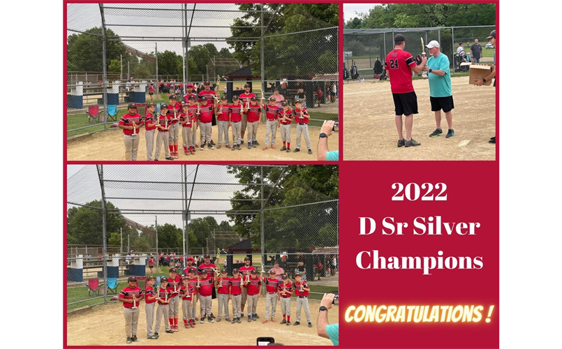 DSr Champions